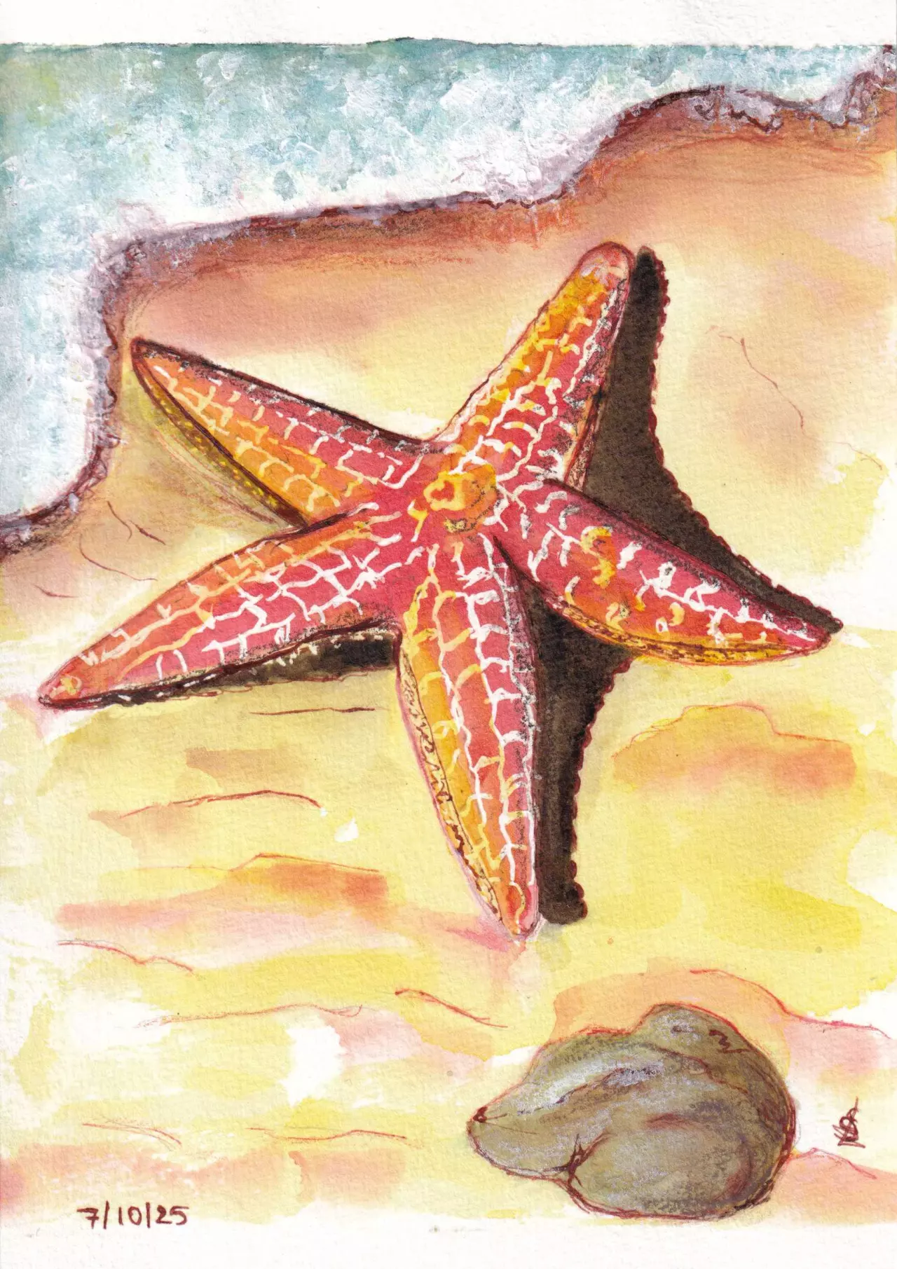 Starfish
